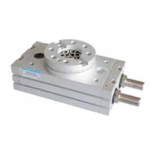 JANATICS ROTARY ACTUATOR 